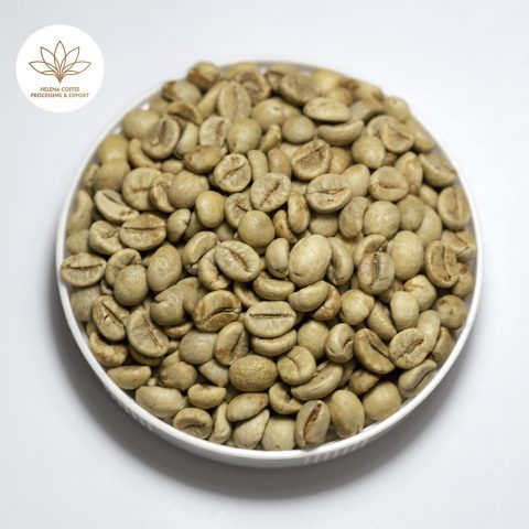 Robusta Fully Washed Processed Coffee Beans - S18, S16