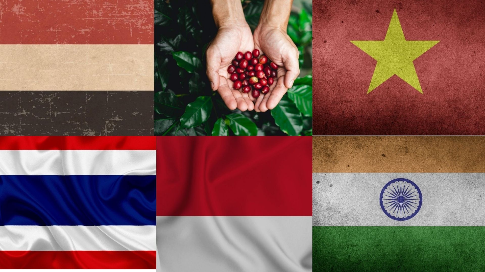 The best wholesalers coffee beans in Asia by country