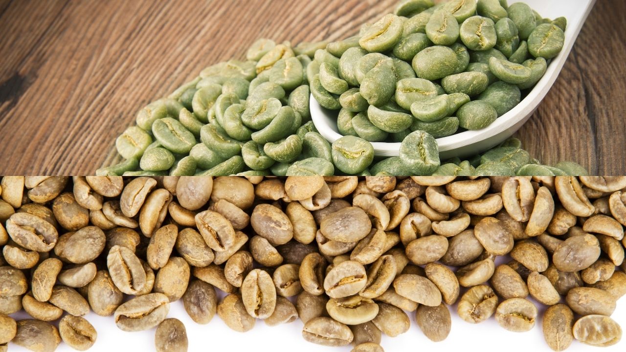 find green coffee beans