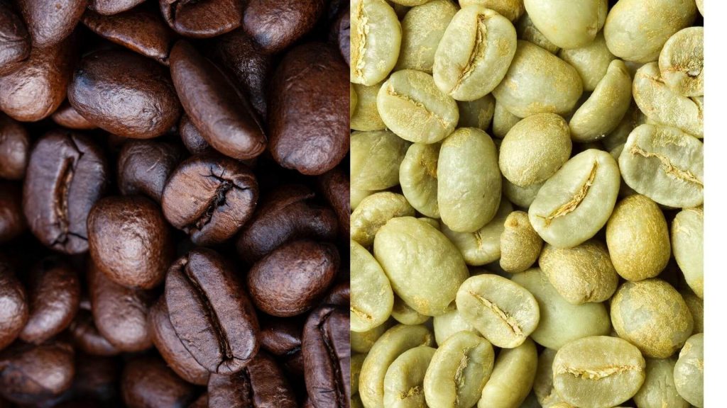Green Coffee and Roasted Coffee - Green Coffee Beans 