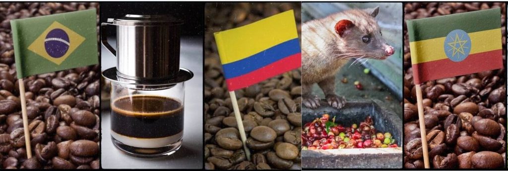top five producing coffee countries