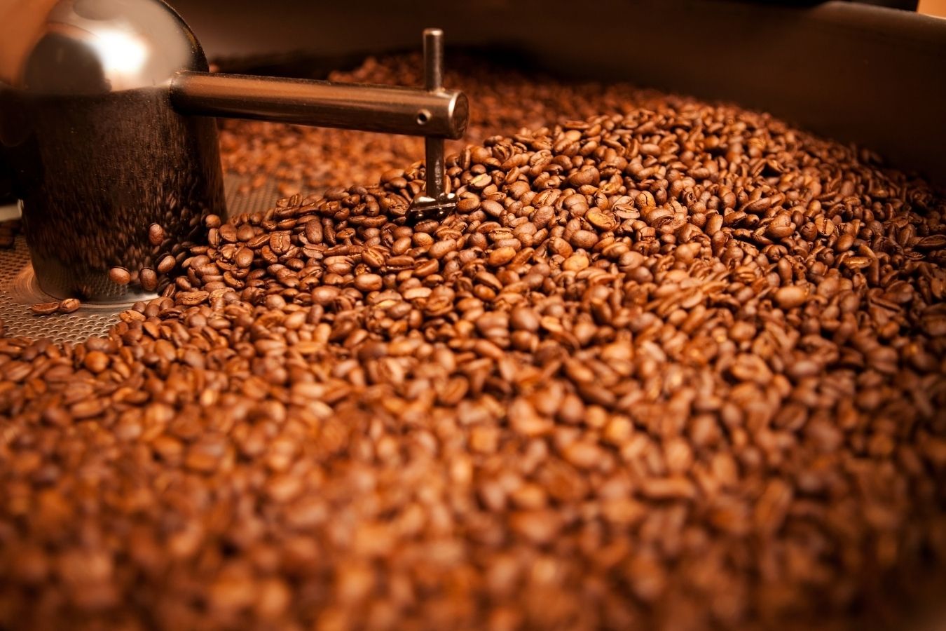 국제 표준에 따른 커피 로스팅 과정