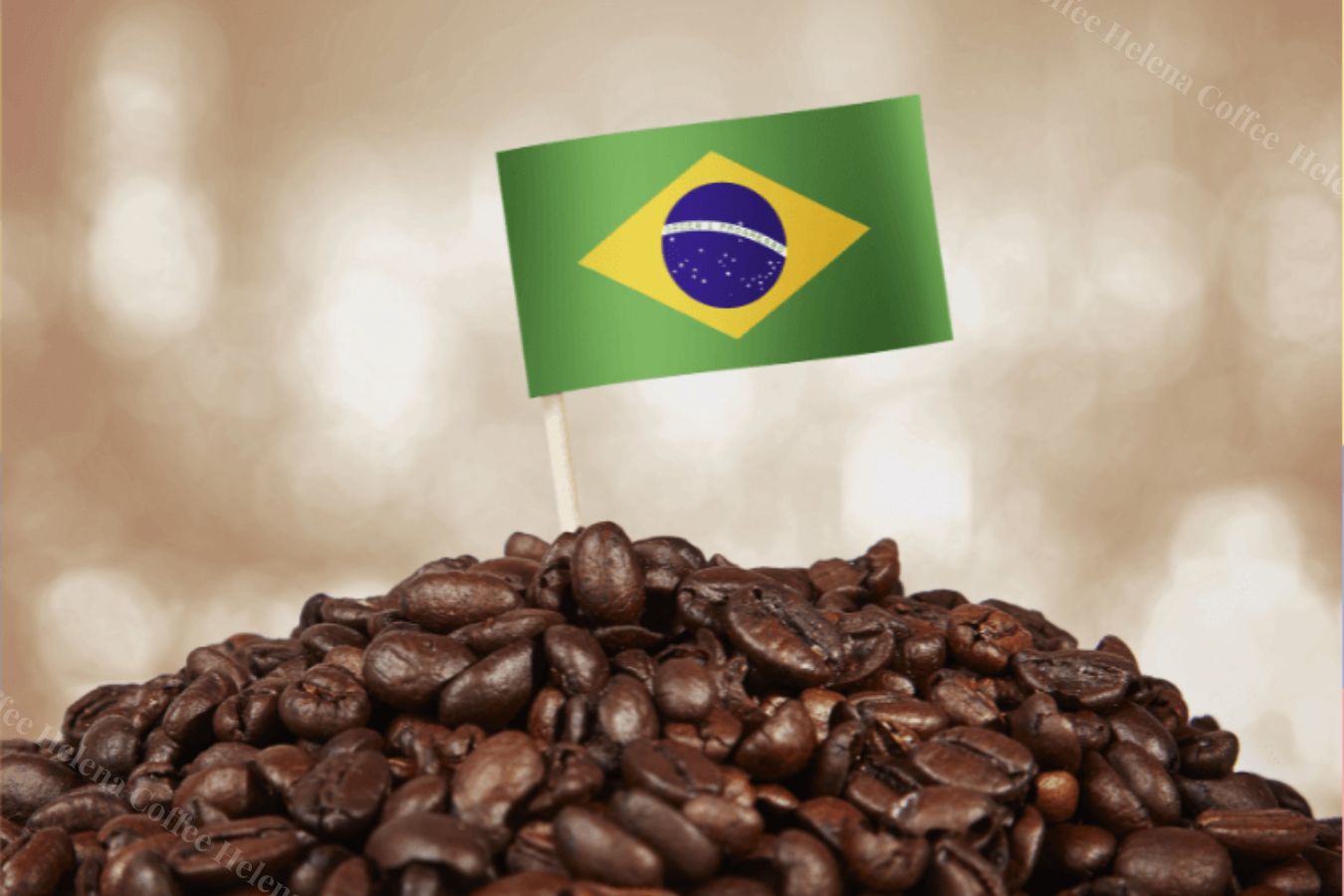 Biggest Coffee Exporters: Top 6 In The World - Helena Coffee Vietnam