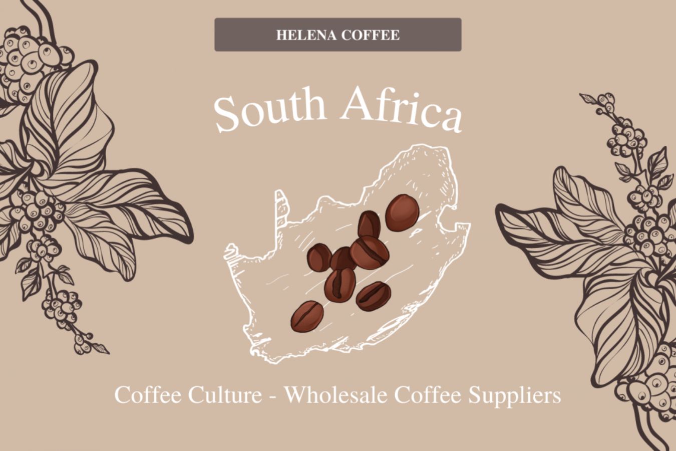 Coffee Culture Wholesale Coffee Suppliers South Africa