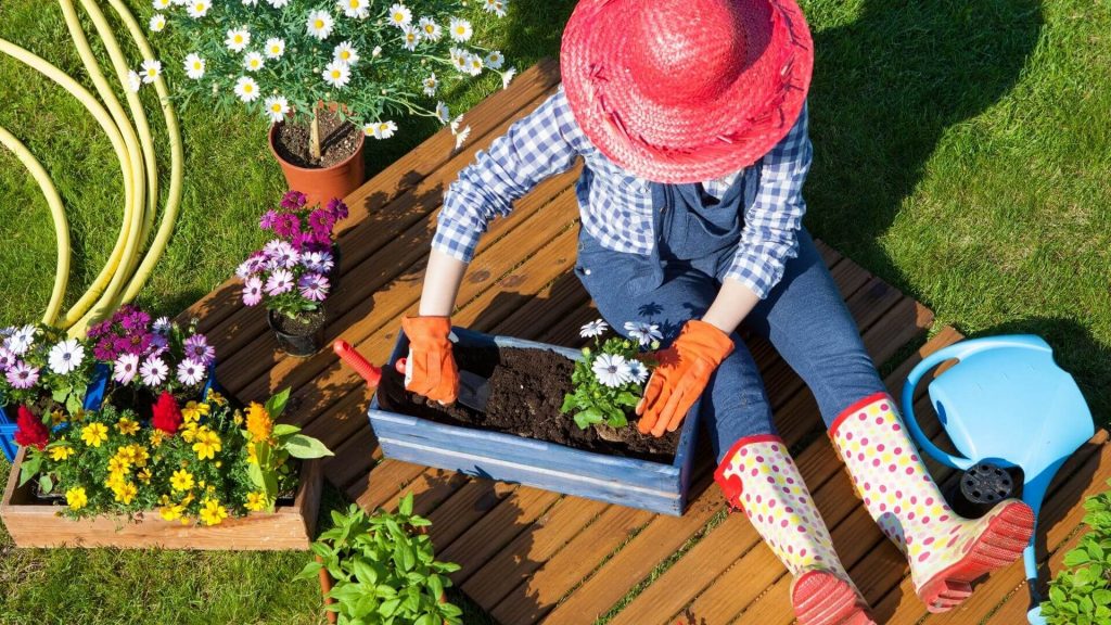 Fertilize Your Garden