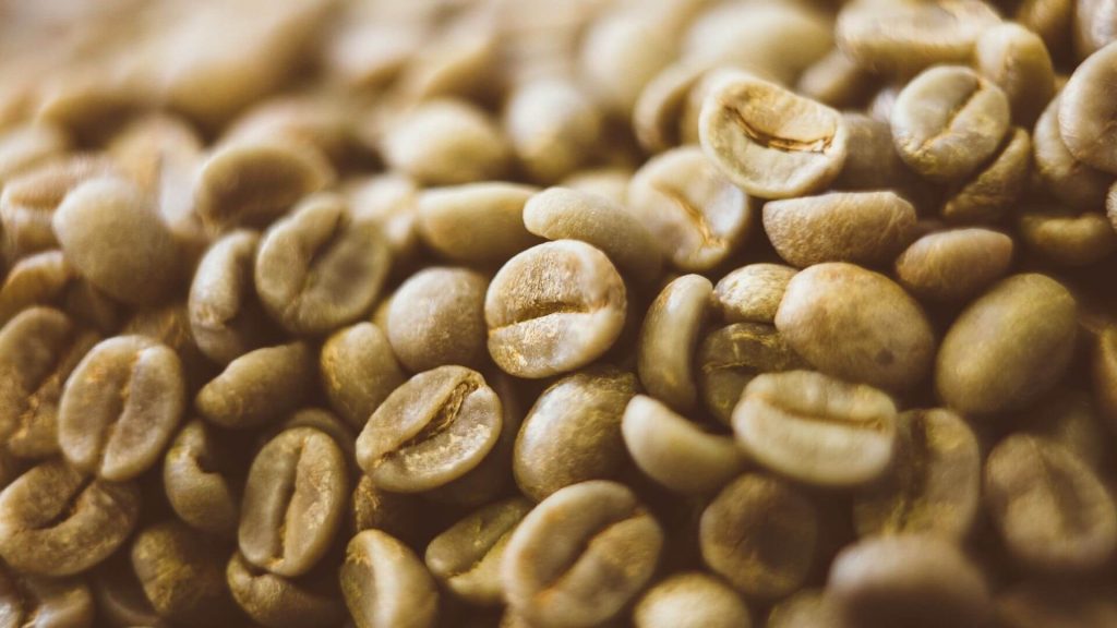 How To Grind Green Coffee Beans? 