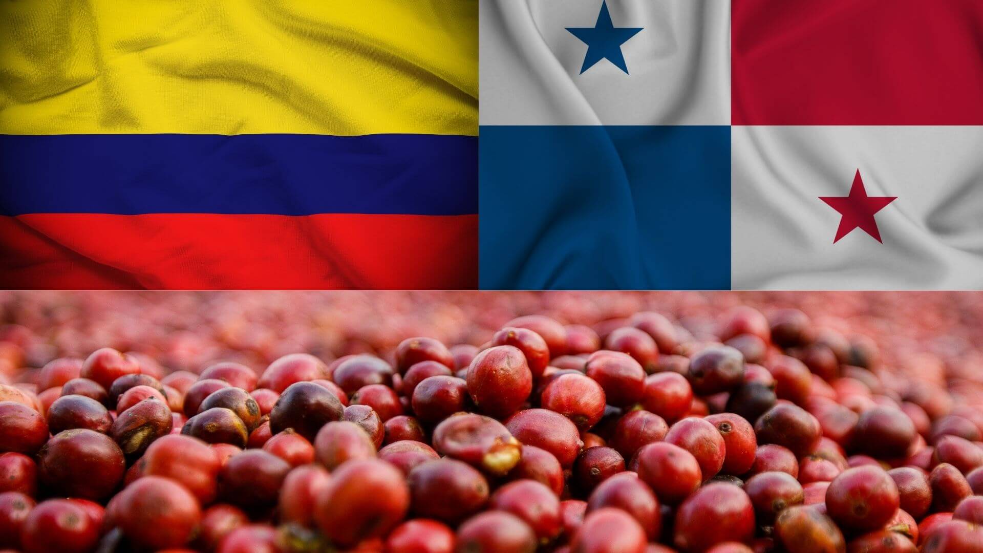 International Coffee Farms - A Potential Investment?