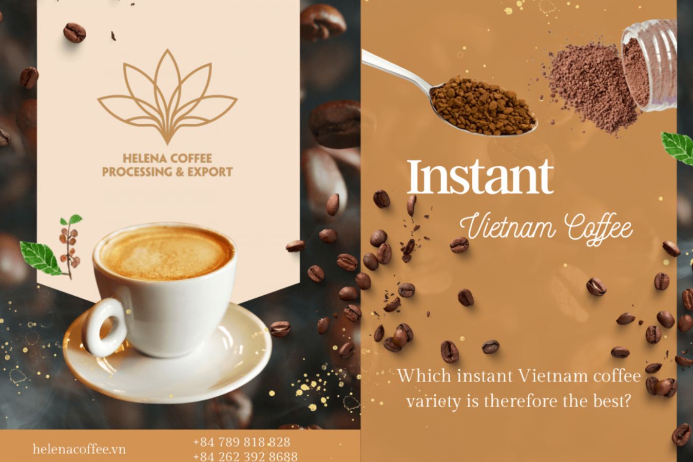 Instant Vietnam Coffee: Popular Among Young People