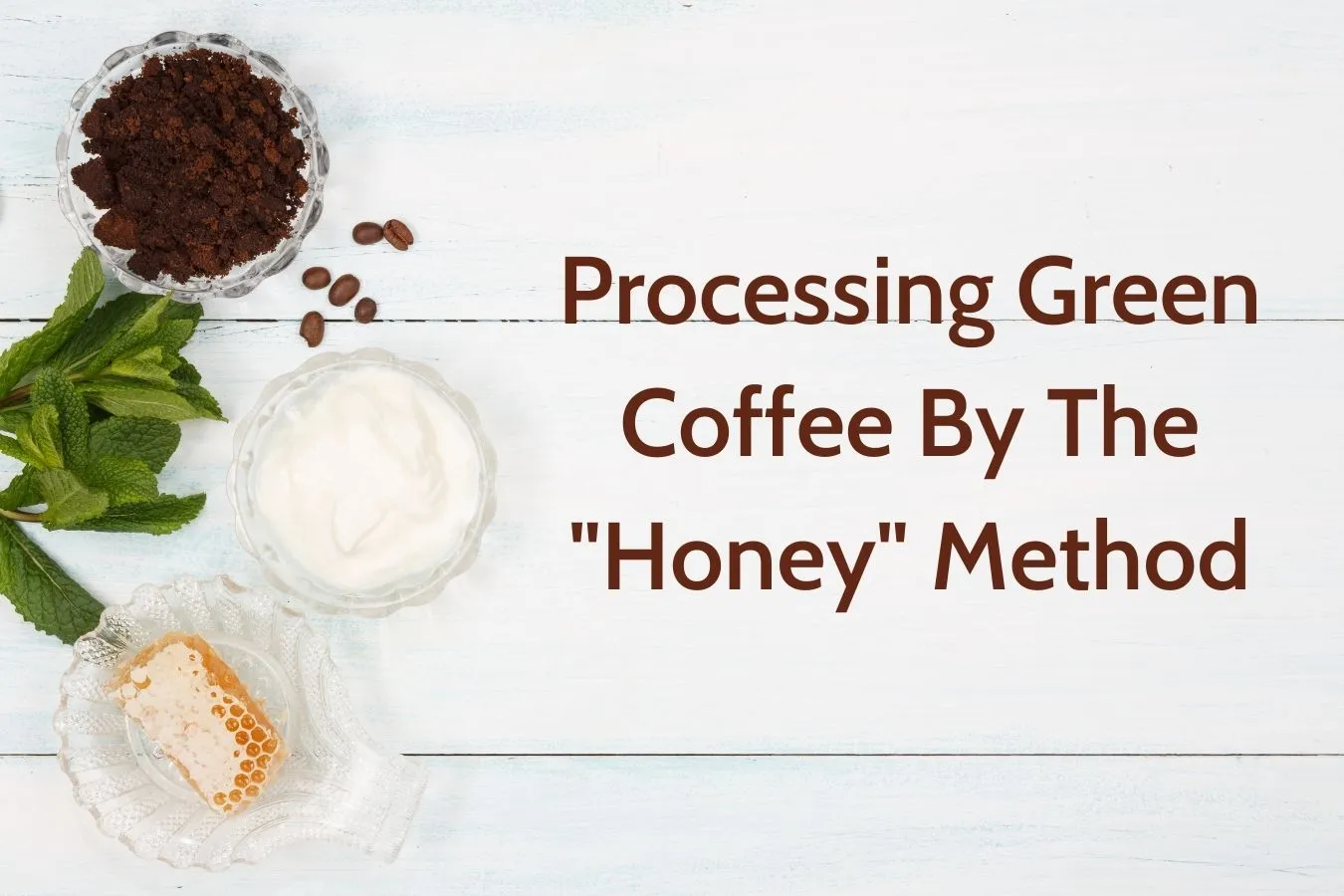 Processing Green Coffee By The Honey Method