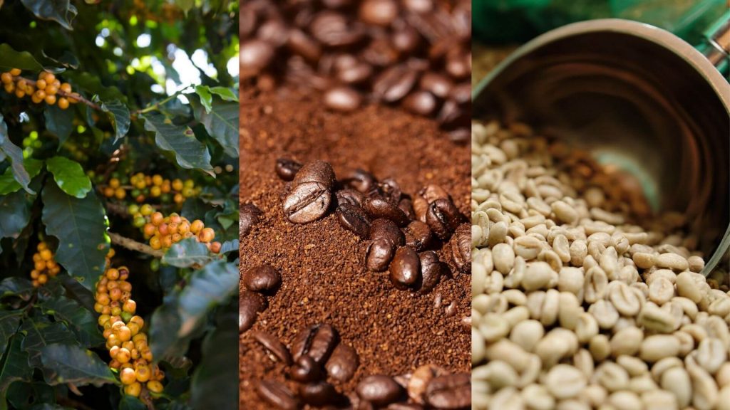 Some of the world's most famous quality coffee types 2