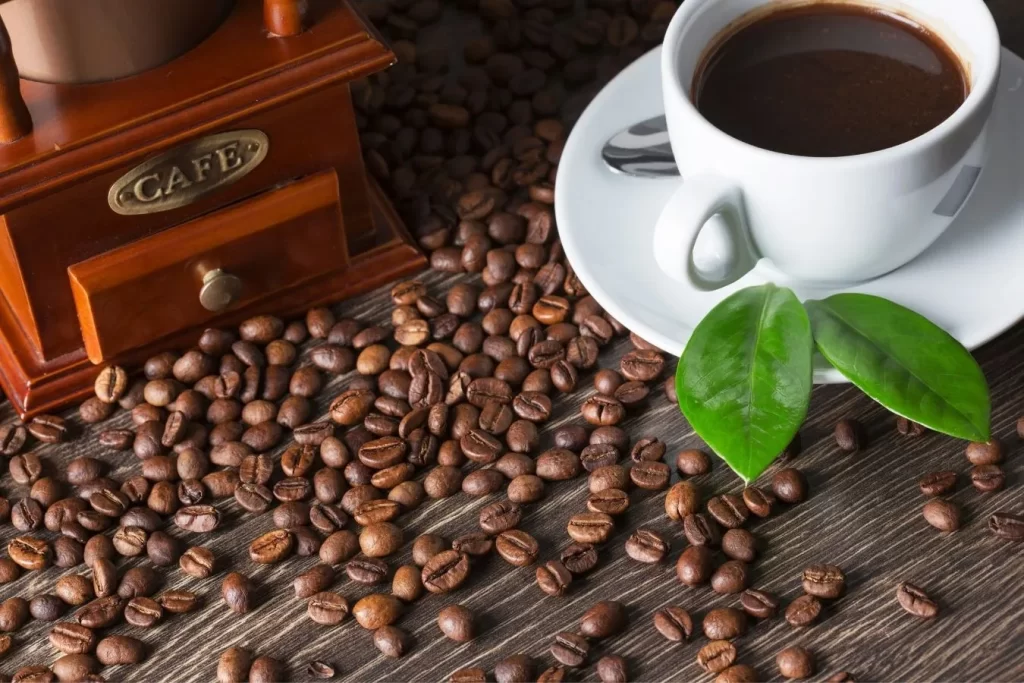 Wholesale Coffee Suppliers Canada