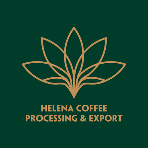 Coffee wholesale suppliers: Helena Coffee