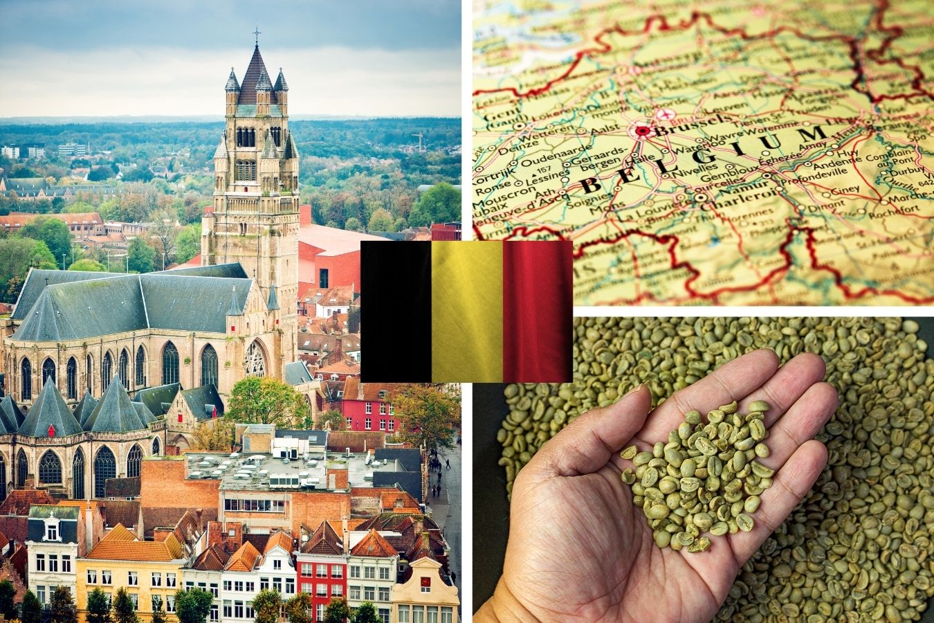 how-to-export-and-import-coffee-to-belgium