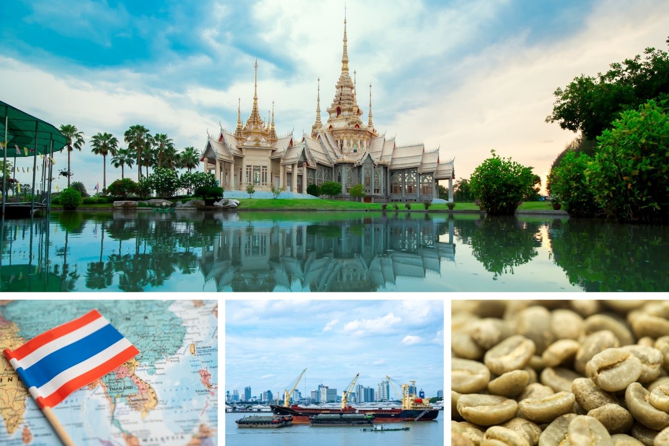 How to Export and Import Coffee to Thailand? - Helena Coffee Vietnam