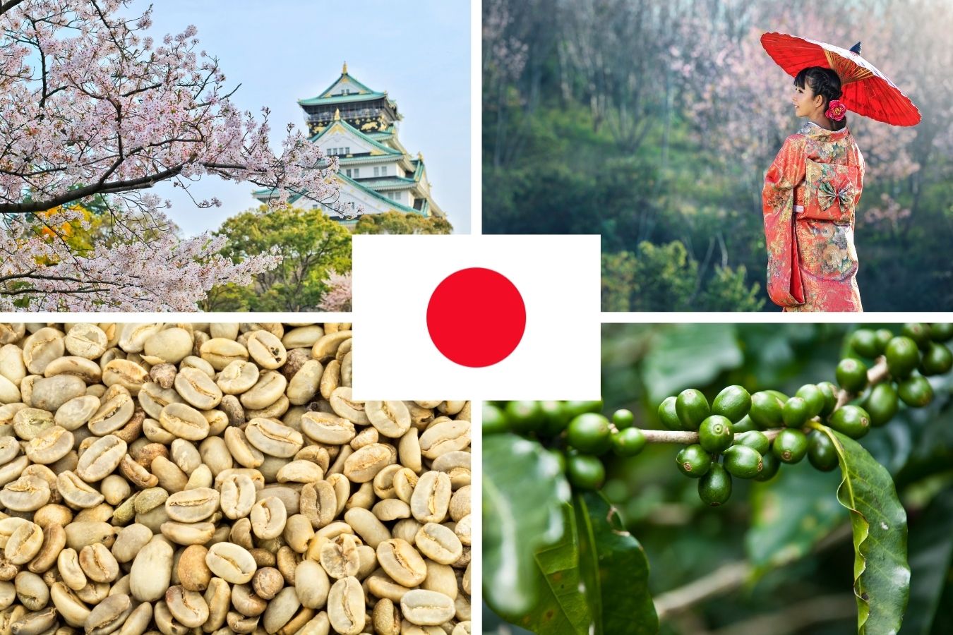 How to Export Coffee to Japan? Procedures For Exporting Coffee To Japan