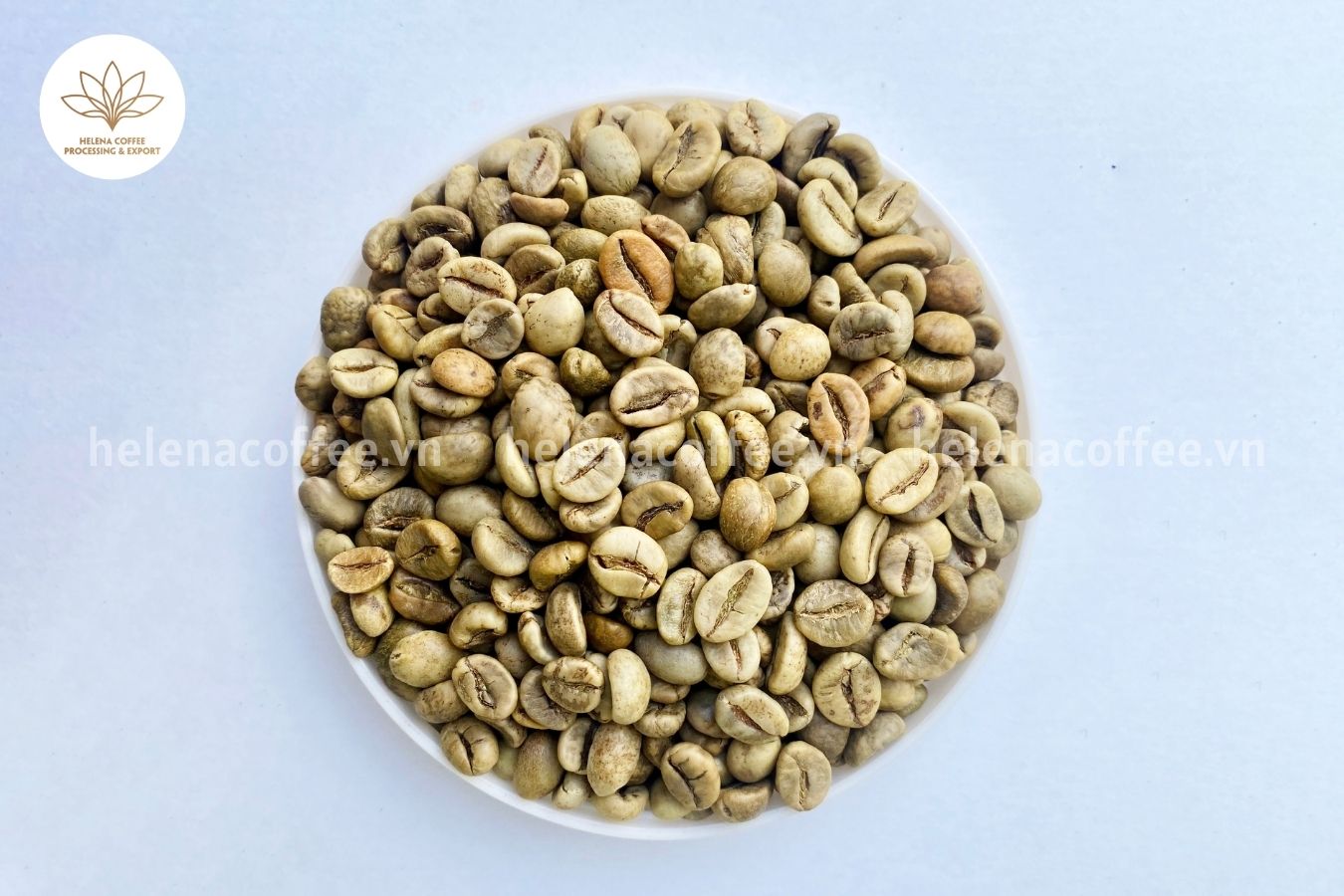 The Best Coffee Bean Supplier in Vietnam