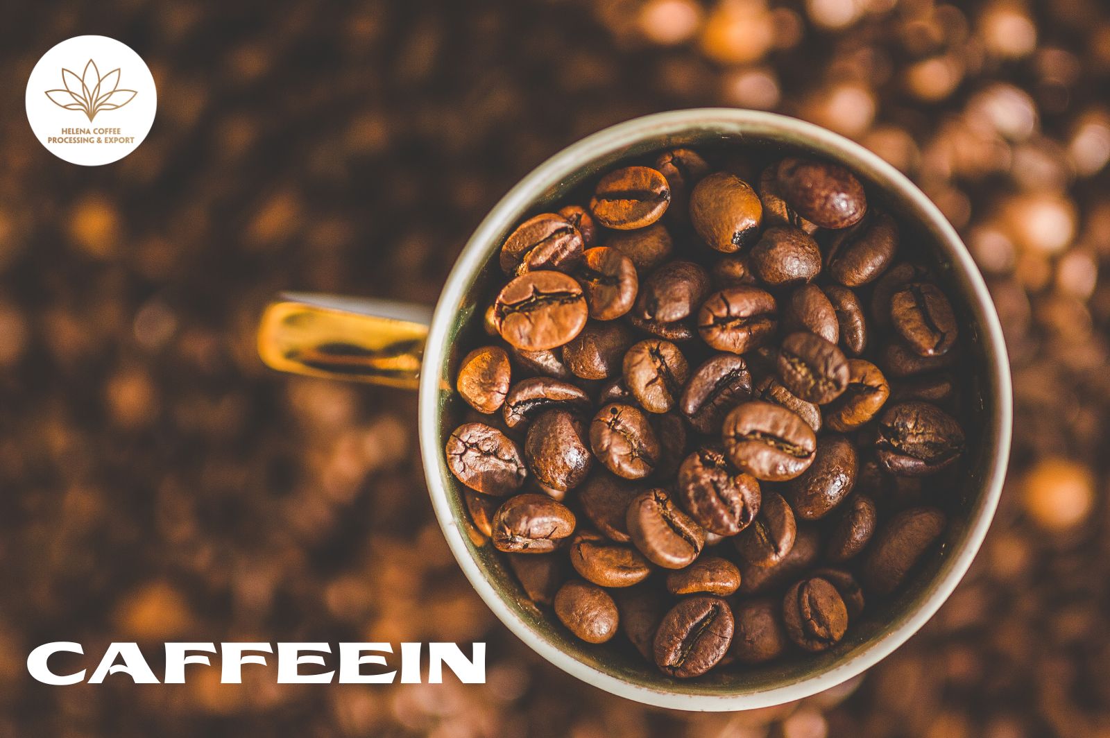 Can you eat coffee beans for energy