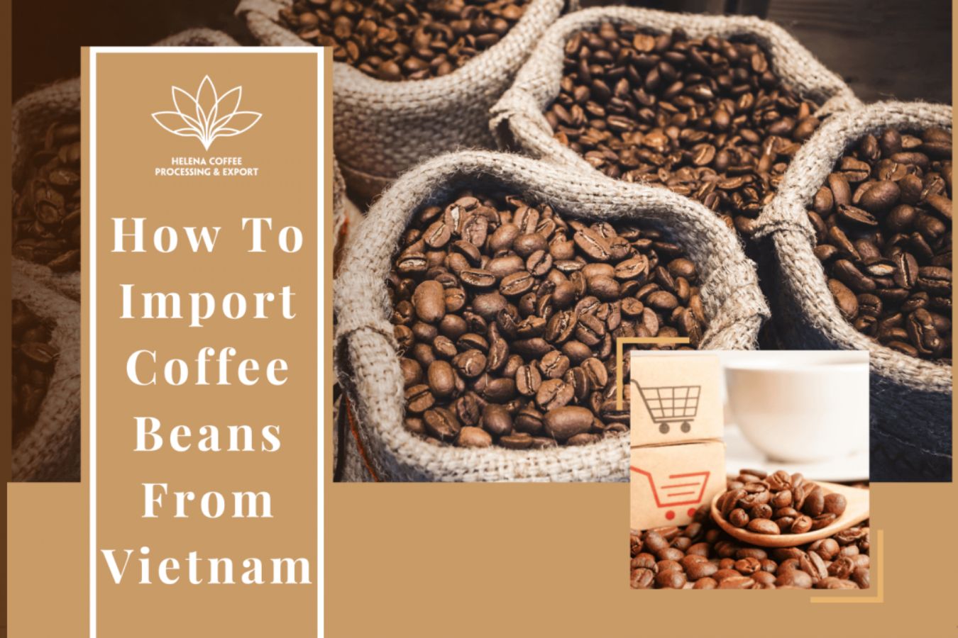 How To Import Coffee Beans From Vietnam