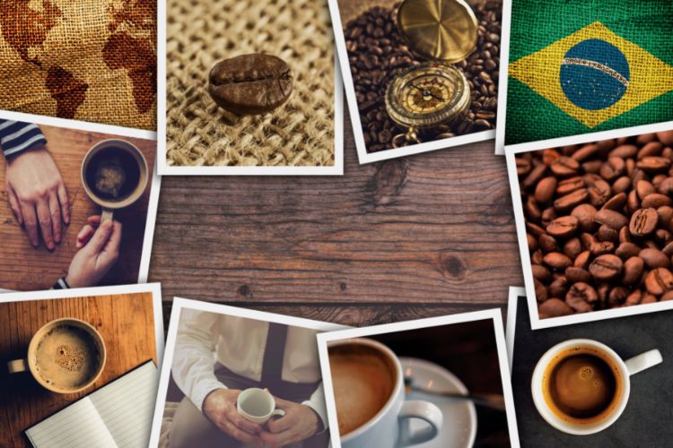 Profiles Coffee Origins From Around The World