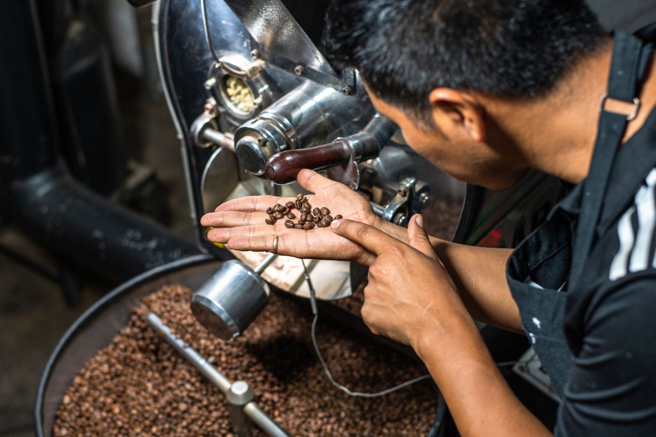 Top 5 Coffee Roasters For Small Business