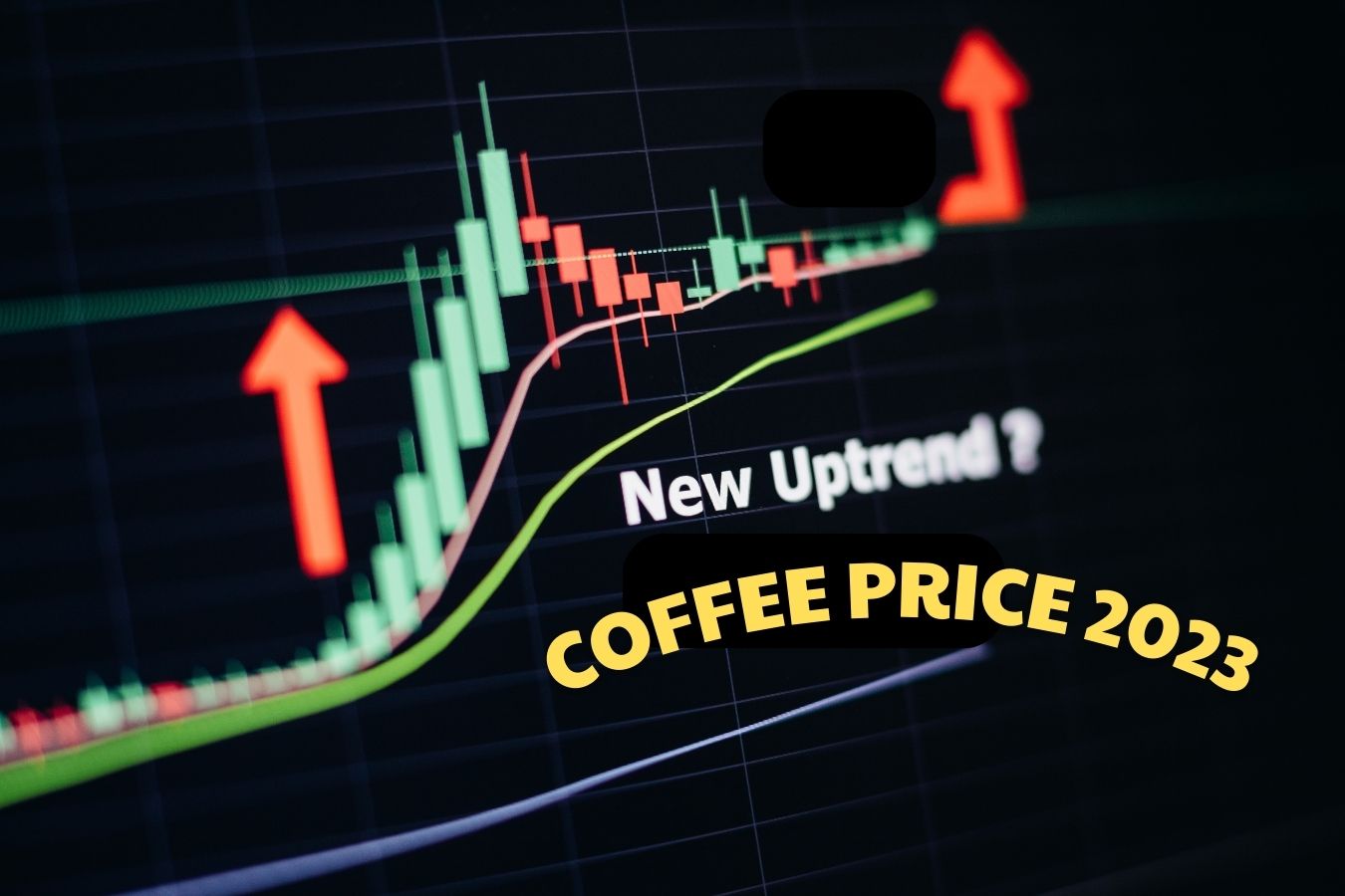 Coffee Price Forecast 2023 - Helena Coffee Vietnam