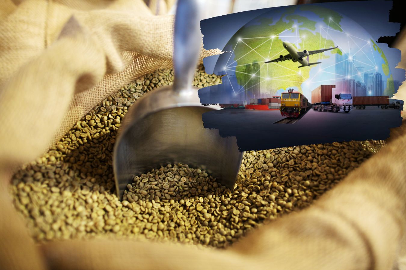 green-coffee-bean-everything-you-need-to-know-before-importing-exporting