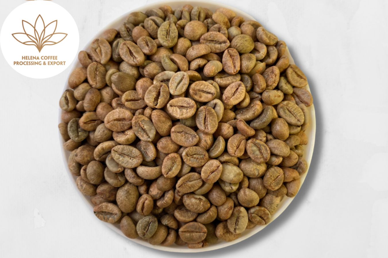 Coffee Beans Supplier: Robusta Dry-Processed Wholesale Bulk - Helena Coffee Vietnam