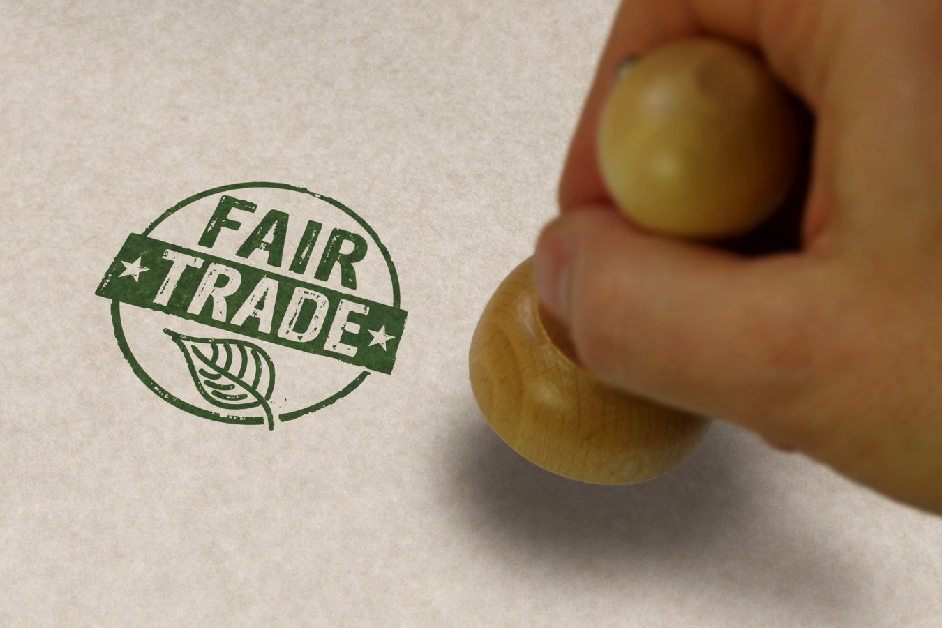 Fair Trade Certified Green Coffee Supplier