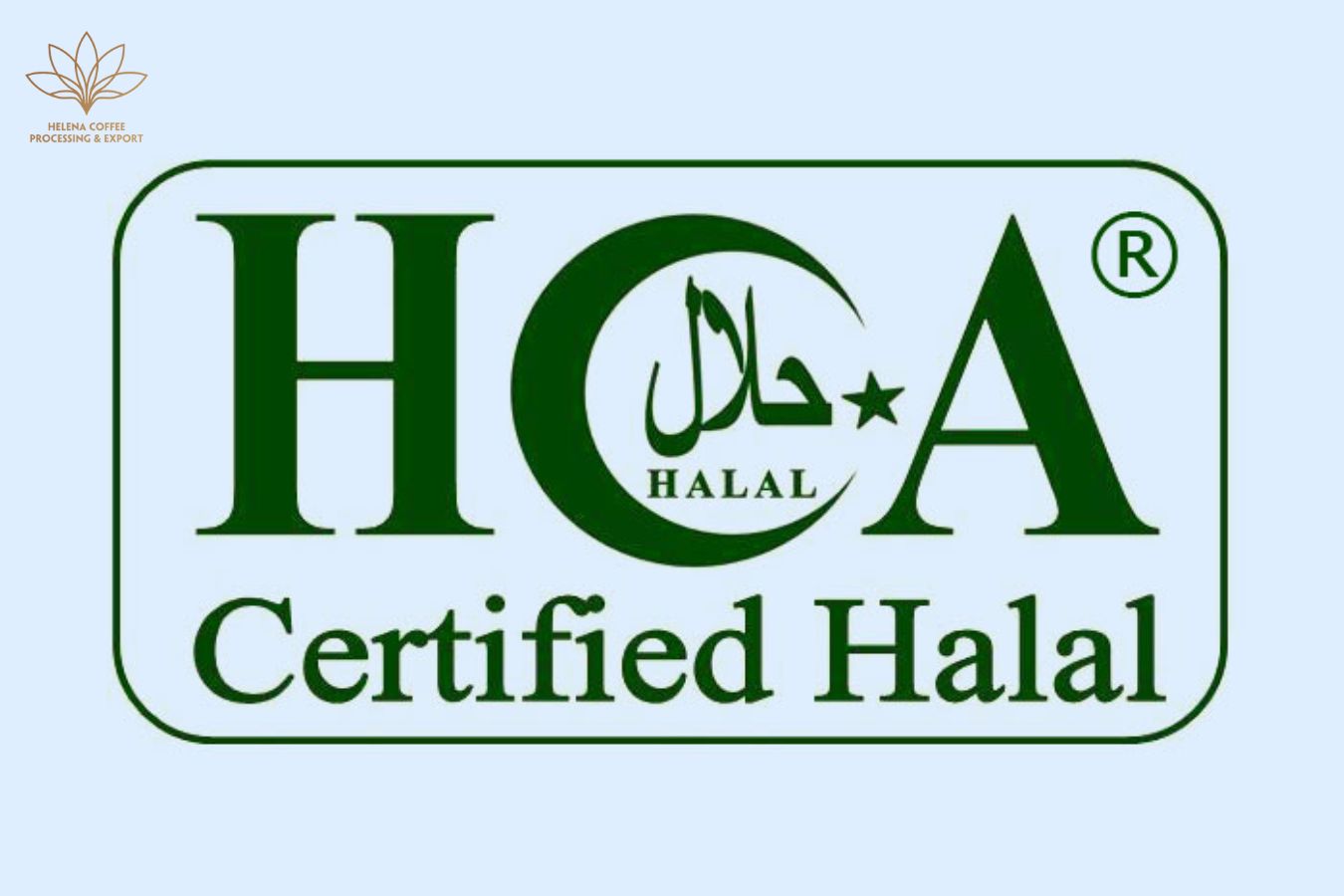 Halal Certified Instant Coffee Supplier