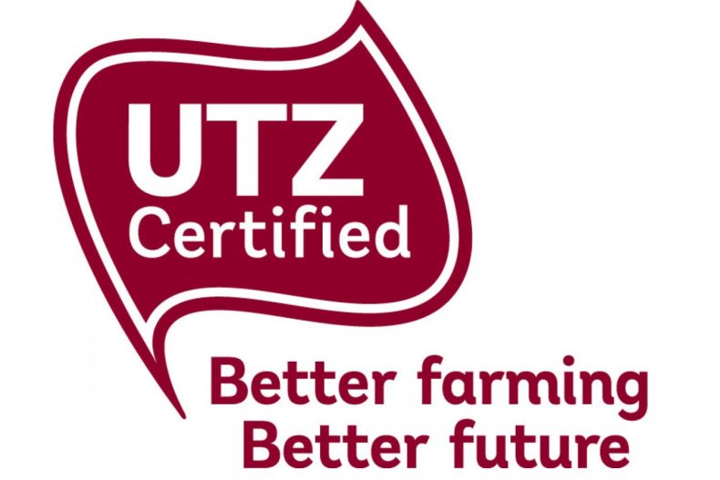 Utz Certified Instant Coffee Supplier