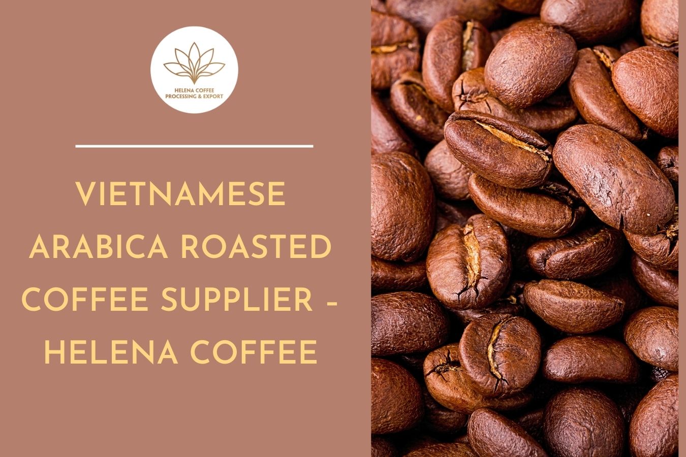 Vietnamese Arabica Roasted Coffee Supplier