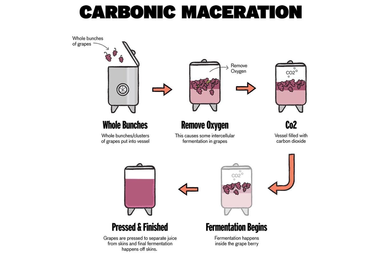 Carbonic Maceration in Coffee Processing