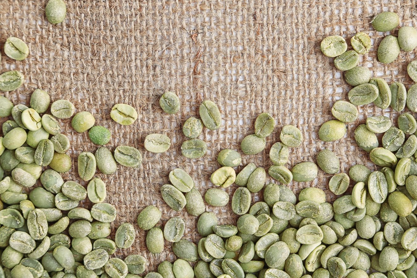 How to Purchase Wholesale Green Coffee Beans