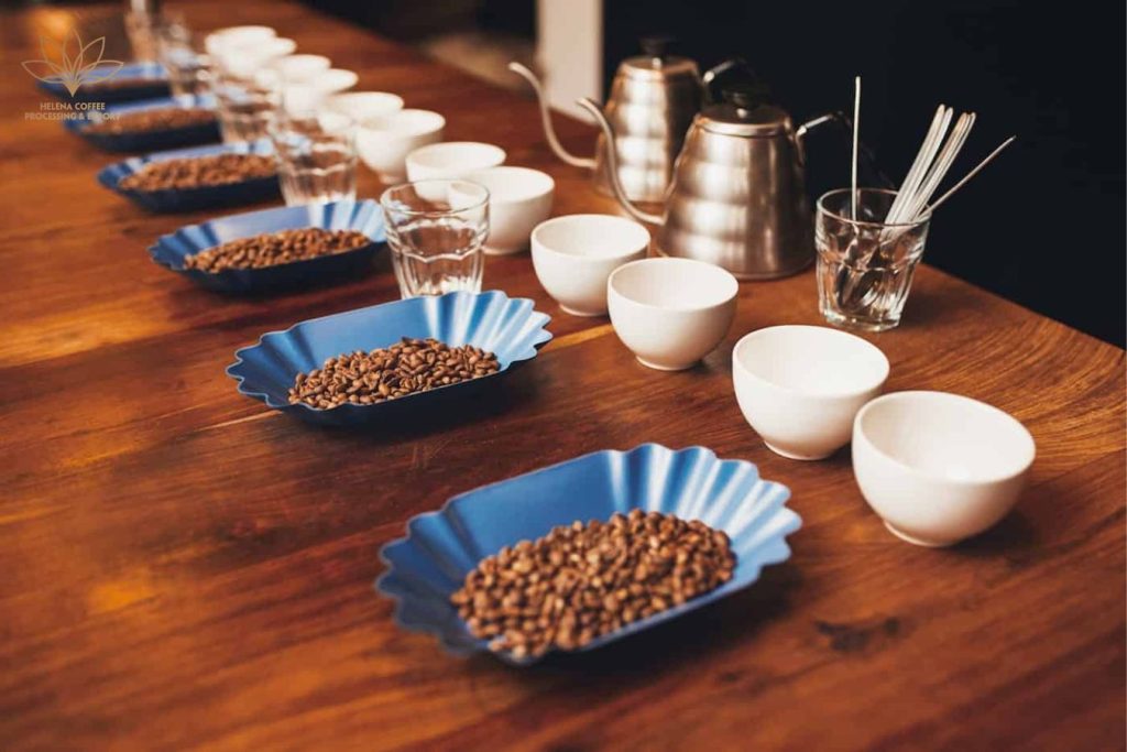 Acidity Properties - SCA Cupping Form - Helena Coffee Vietnam