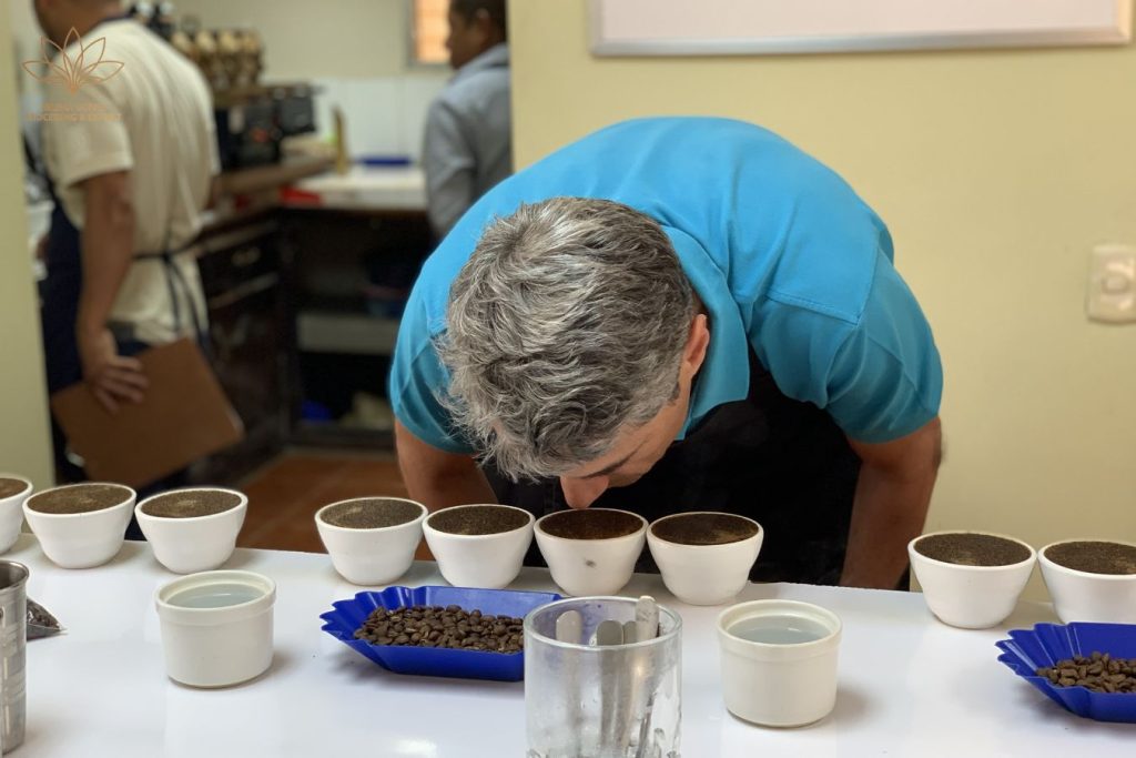 Fragrance/Aroma Properties - SCA Cupping Form - Helena Coffee Vietnam