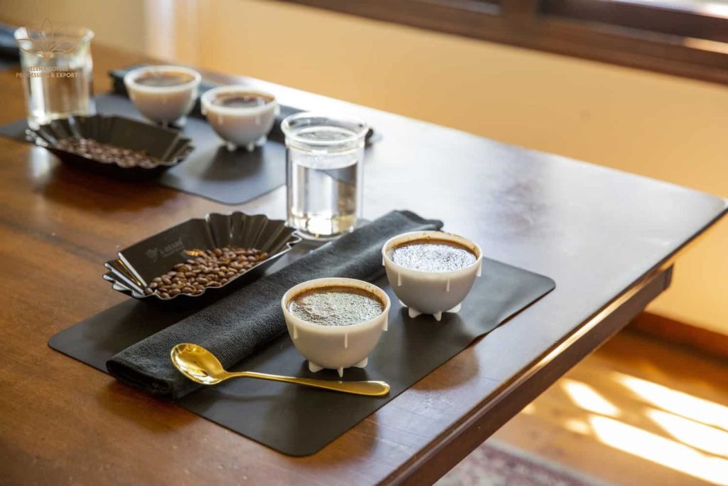 Sweetness Attribute - SCA Cupping Form​ - Helena Coffee Vietnam