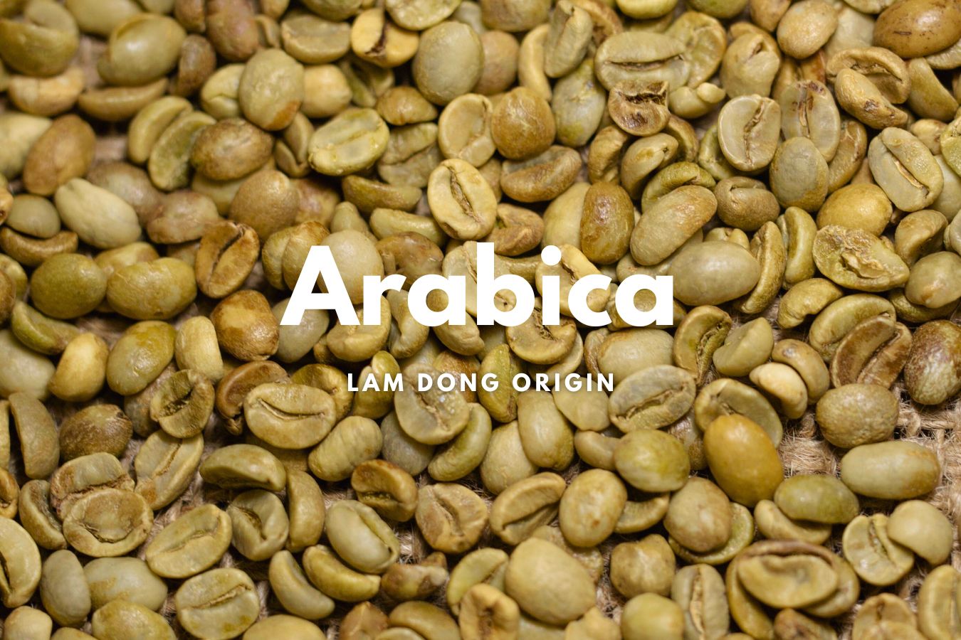 Arabica Coffee Supplier  Top Wholesale Suppliers of Premium Arabica Coffee Beans