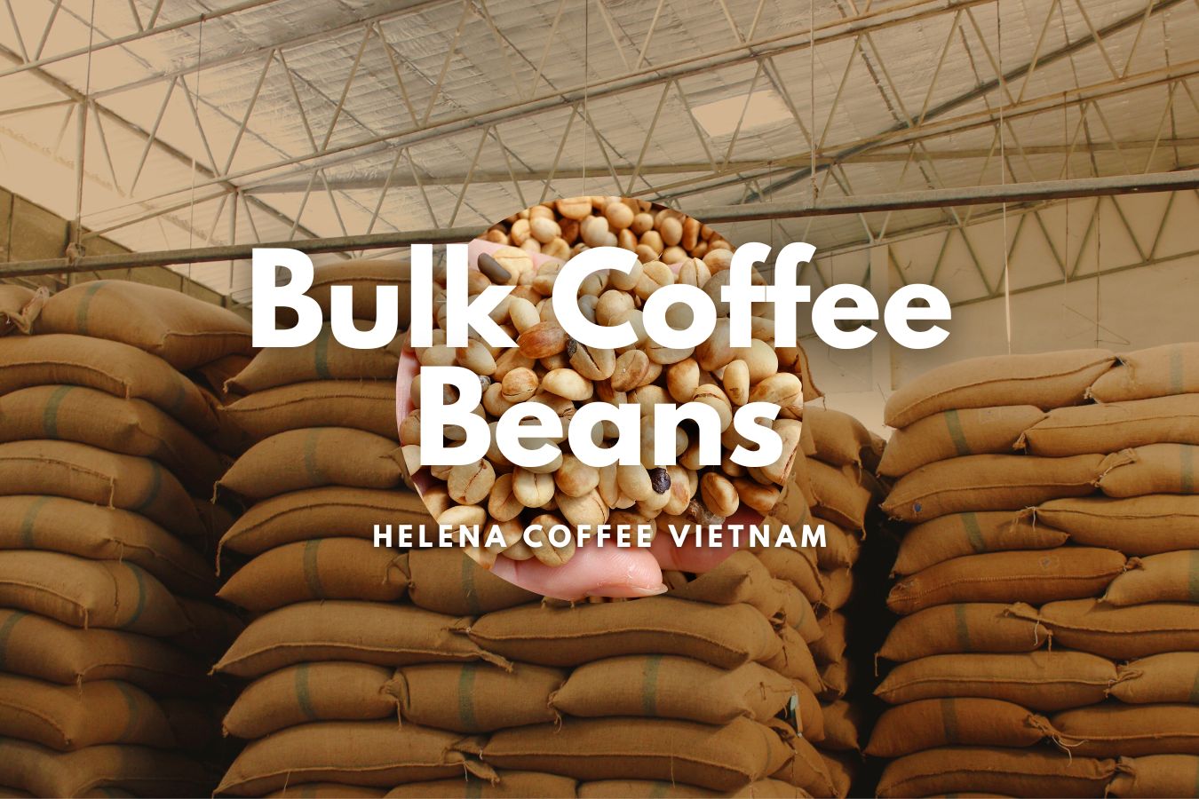 Bulk Coffee Beans: The Comprehensive Guide to Coffee Wholesale for  Businesses and Resellers - Helena Coffee Vietnam