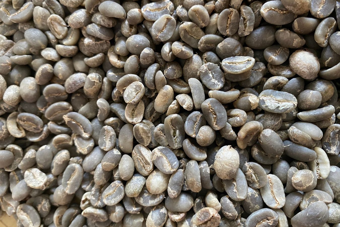 Sumatra Coffee
